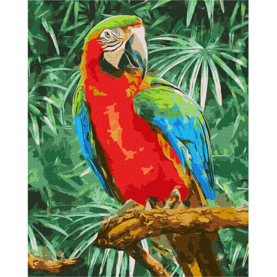 Maľovanie podľa čísel – Papagáj